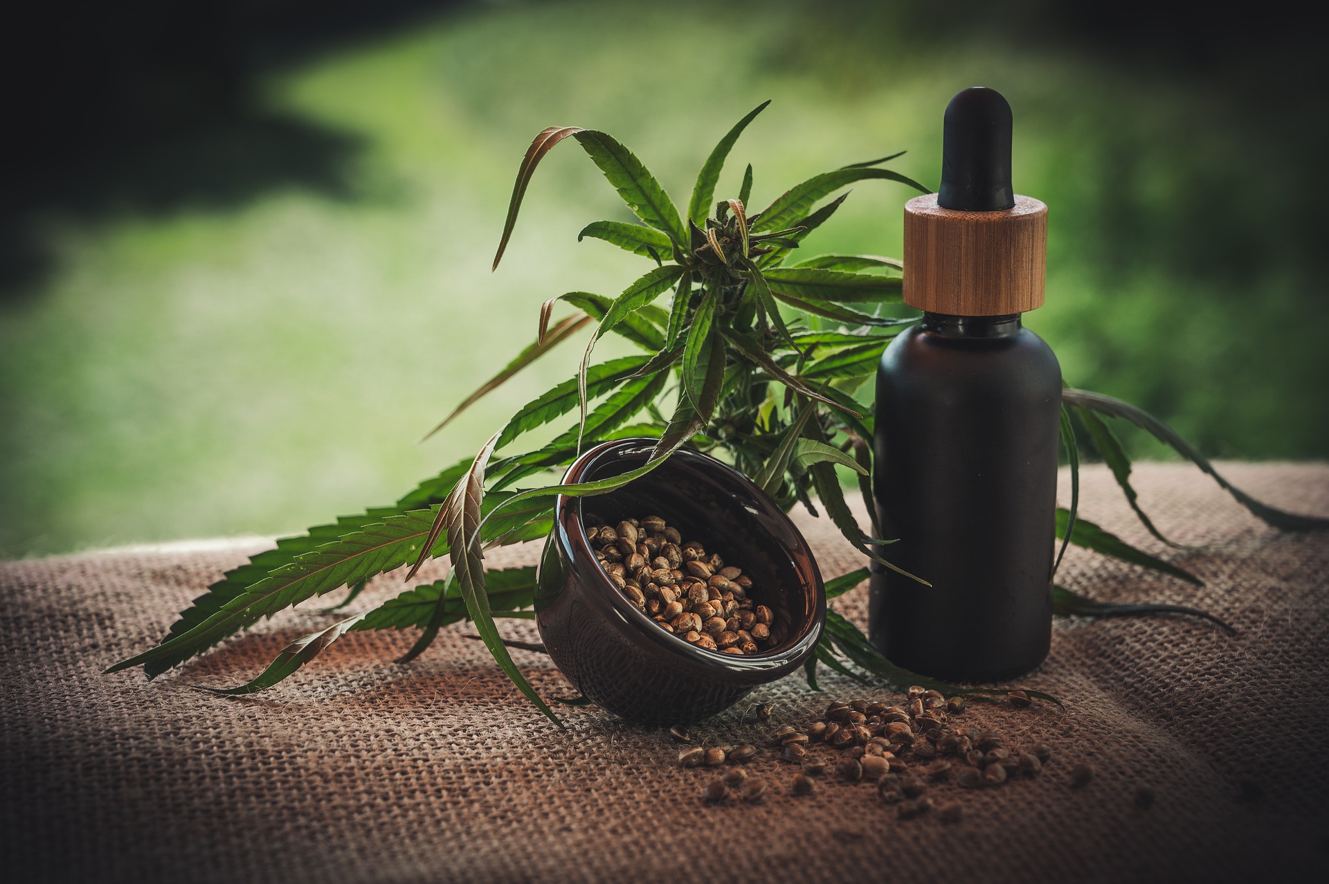 Read more about the article Justiça autoriza paciente a cultivar cannabis para fins terapêuticos